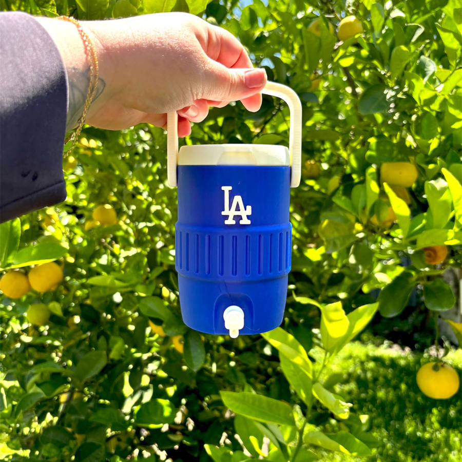 LA Inspired Water Cooler Can Koozie